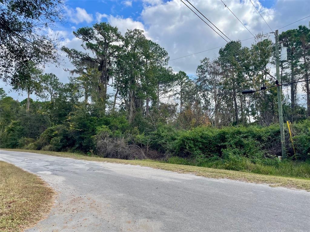 A paved road runs alongside a wooded lot with dense vegetation and tall trees — 000 FISHER RUN, OCKLAWAHA, FL