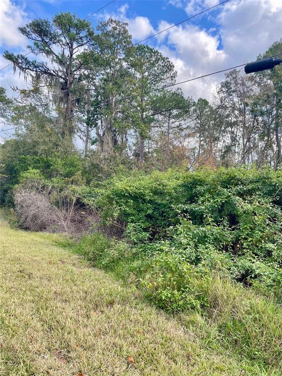 A grassy foreground leads to a dense thicket of bushes and tall trees — 000 FISHER RUN, OCKLAWAHA, FL