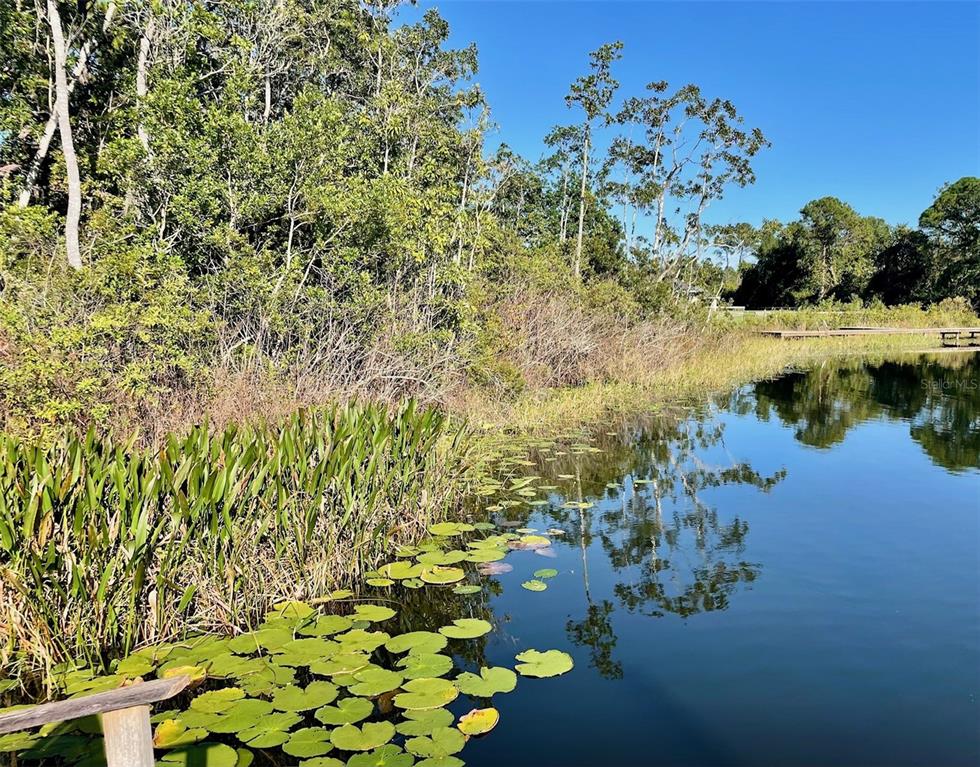 A view of a pond with lily pads and dense trees along the shoreline — 000 FISHER RUN, OCKLAWAHA, FL