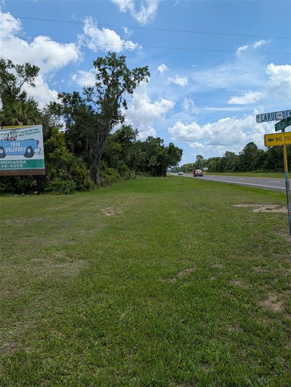 A grassy lot sits beside a road with a billboard and street signs — 5251 N US 19 HIGHWAY, CRYSTAL RIVER, FL