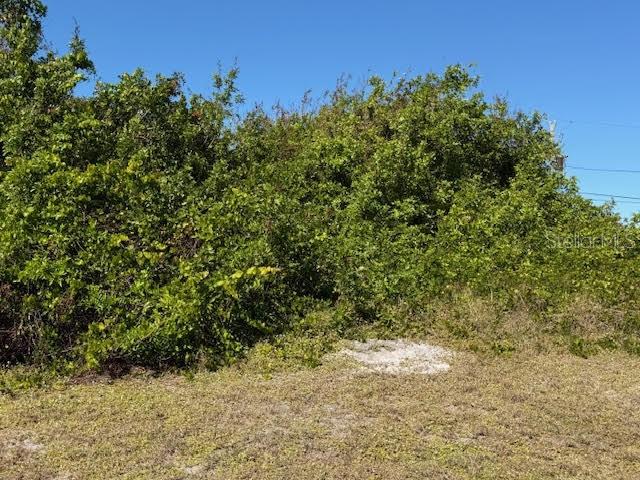 A dense thicket of green trees and shrubs grows behind a patch of sandy ground — 7361 BROOKHAVEN TERRACE, ENGLEWOOD, FL