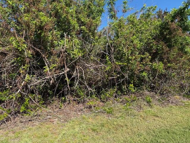 A dense thicket of green trees and shrubs borders a patch of mowed grass — 7361 BROOKHAVEN TERRACE, ENGLEWOOD, FL