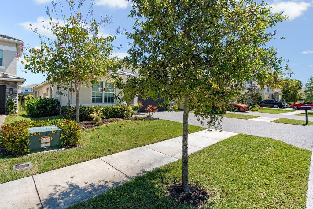 A suburban house exterior features a paved driveway, a green lawn, and two young trees — 1362 Harvester Crossing, Loxahatchee FL 33470, LOXAHATCHEE, FL
