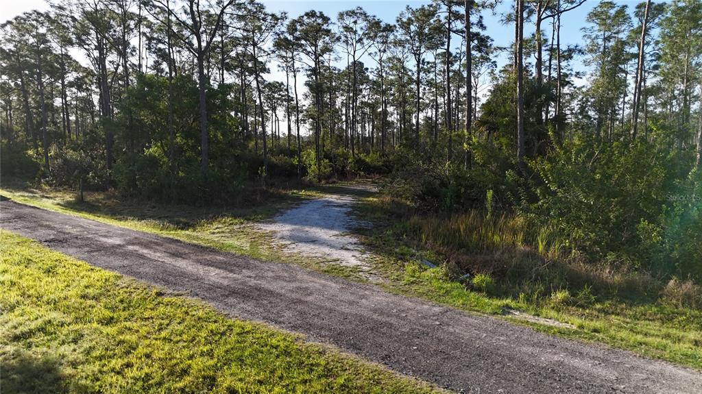 A gravel driveway leads from a paved road into a wooded, undeveloped lot — 14350 BURNT STORE ROAD, PUNTA GORDA, FL