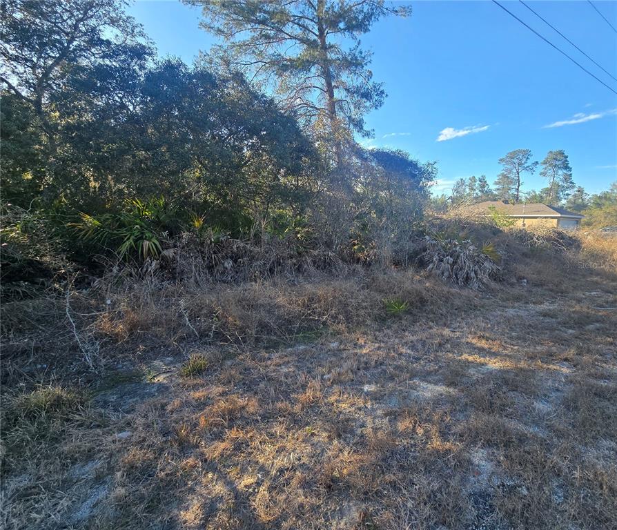 A vacant, overgrown lot with trees and shrubs sits next to a residential house — MALAUKA PASS CRSE, OCKLAWAHA, FL