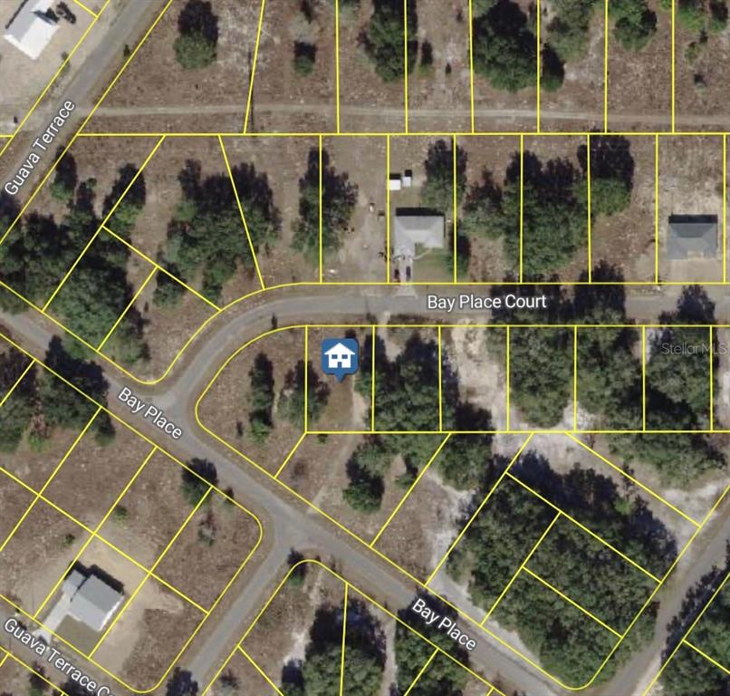 This is an aerial map showing a residential lot with a house icon — BAY PLACE COURT, OCKLAWAHA, FL