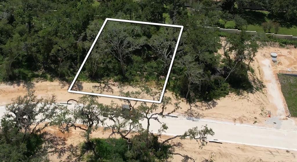 An aerial view shows a wooded residential lot outlined in white next to a paved road — 146 TRANQUIL MIRROR LAKE COURT Lot 19, CLERMONT, FL