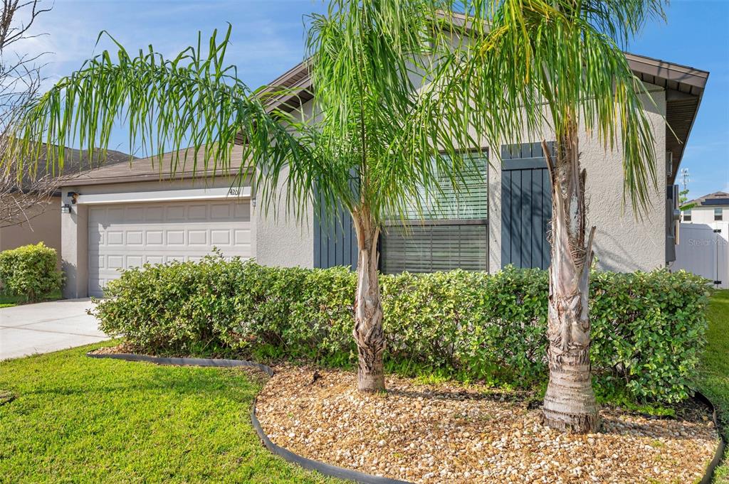 4201 GLOBE THISTLE DRIVE