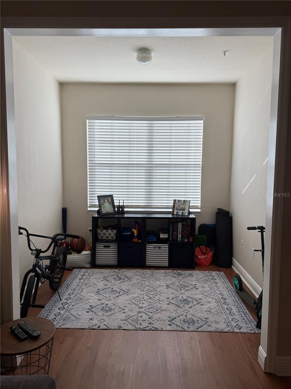 A small room with a window, a storage unit, and a patterned area rug — 1300 EASTERN PECAN PLACE UNIT 107, WINTER GARDEN, FL