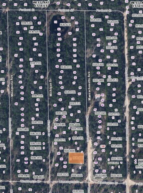 MASSACHUSETTS AVENUE, HAWTHORNE, FL — photo 2 of 3