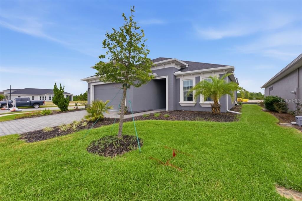 A gray single-story house with a paved driveway, a small tree, and a green lawn — 246 AZURE MIST WAY, DAYTONA BEACH, FL