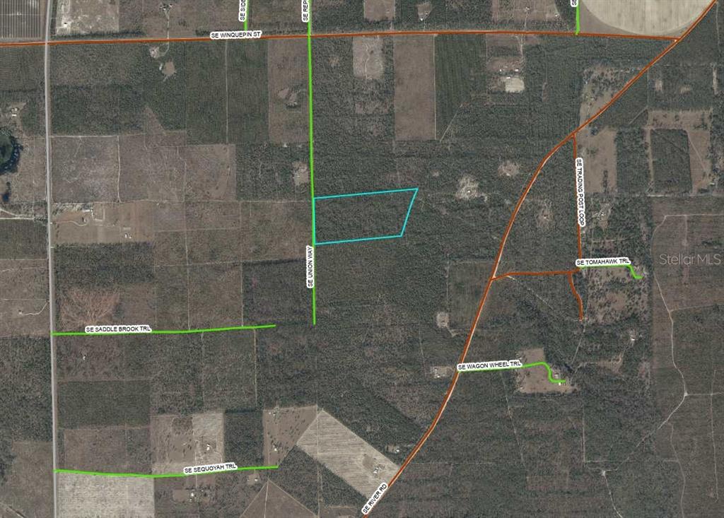 An aerial map shows a plot of land outlined in blue near wooded roads — UNION WAY, LEE, FL