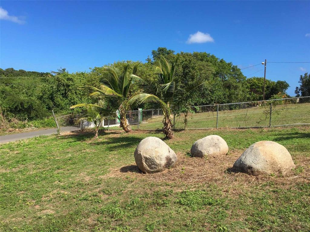A grassy lot features three large boulders in the foreground and two palm trees behind — 63 ROUTE 201, VIEQUES, PR