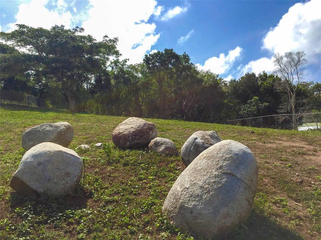 Large boulders sit on a grassy, sloped lot with a line of trees in the background — 63 ROUTE 201, VIEQUES, PR