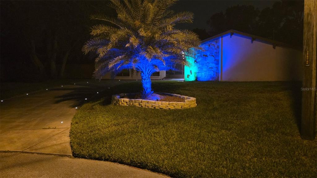 A palm tree and house exterior are illuminated with blue and green landscape lighting at night — 7041 MAYHILL COURT, SPRING HILL, FL