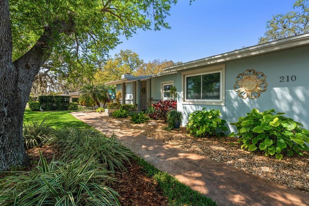 210 LIVE OAK LANE