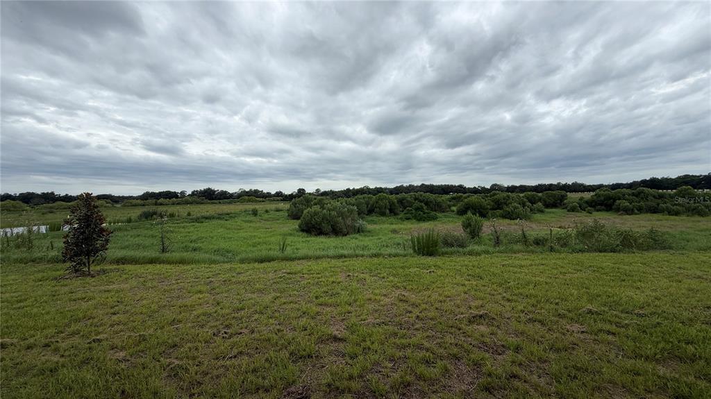 A wide, grassy field stretches toward a line of trees under a cloudy sky — 4378 WINESAP WAY, LAKELAND, FL