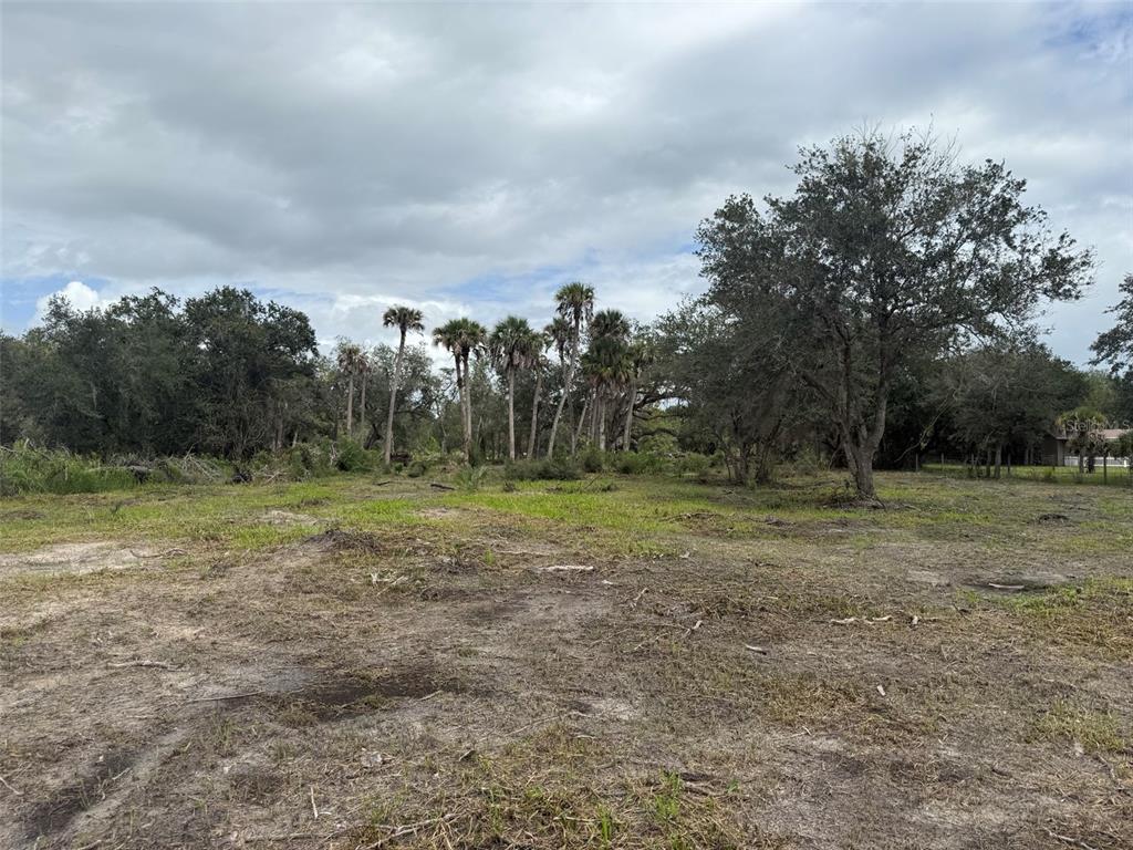 A cleared, grassy lot features scattered palm and oak trees under a cloudy sky — 15723 NW 304TH STREET, OKEECHOBEE, FL