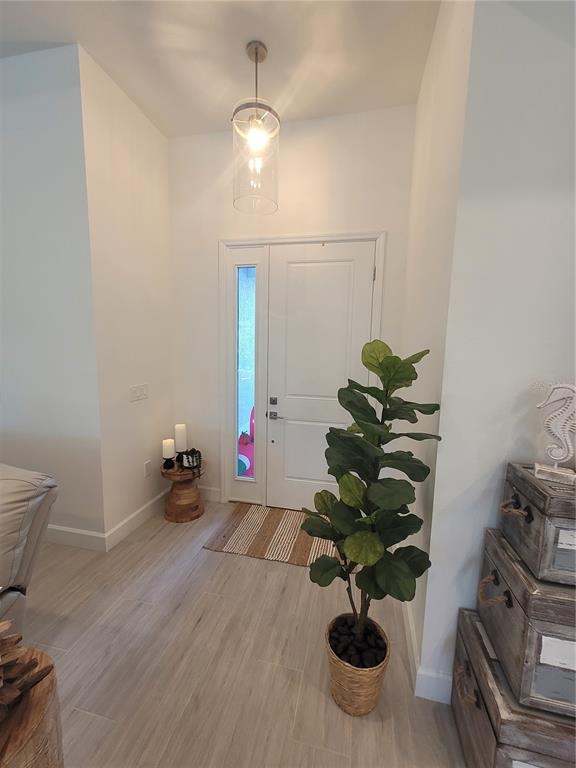 An entryway features a white front door, a pendant light, and a potted fiddle-leaf fig — 67 SUCCESS DRIVE, PUNTA GORDA, FL