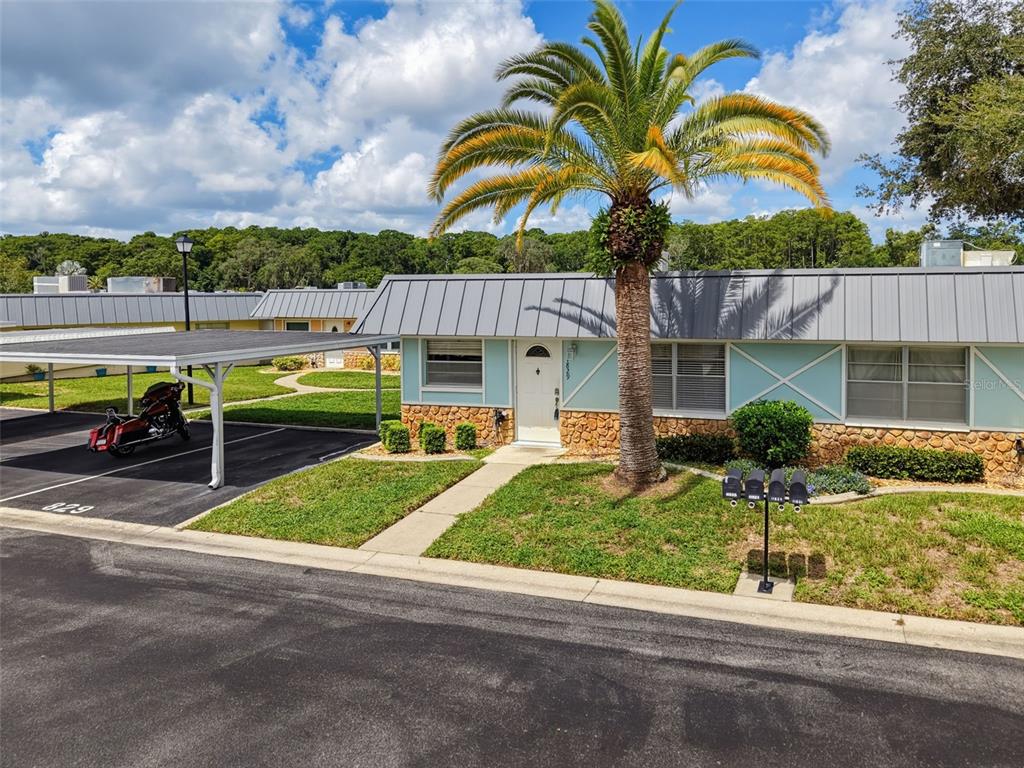 A light blue single-story house features a metal roof, stone accents, and a palm tree — 11829 CARISSA LANE UNIT A, NEW PORT RICHEY, FL