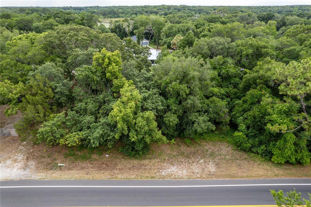 An aerial view shows a paved road bordering a wooded lot with dense trees — SORRENTO AVENUE, MOUNT PLYMOUTH, FL