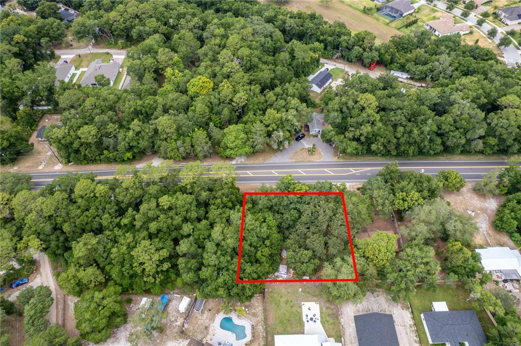 An aerial view shows a rectangular wooded lot outlined in red next to a road — SORRENTO AVENUE, MOUNT PLYMOUTH, FL