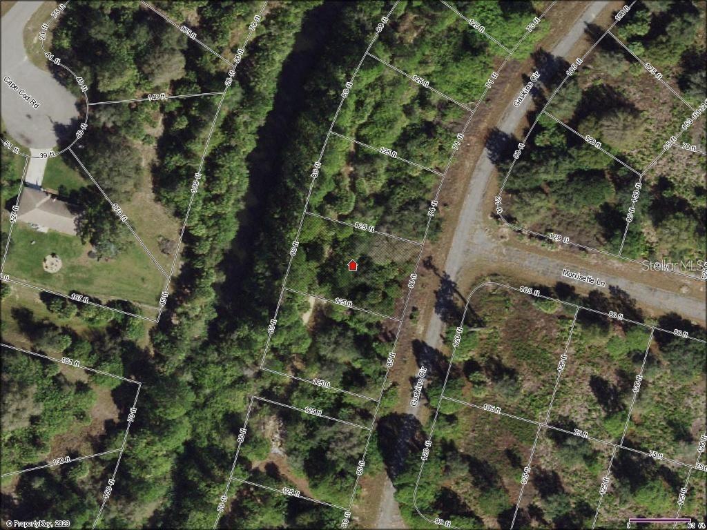 This is an aerial map showing property lot lines and dimensions for a wooded area — GASKINS CIRCLE, NORTH PORT, FL