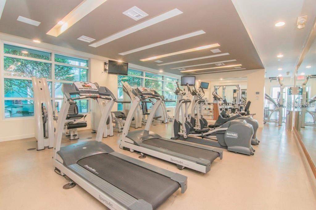 A fitness center features multiple treadmills and elliptical machines under a modern recessed ceiling — 912 CHANNELSIDE DRIVE UNIT 2505, TAMPA, FL