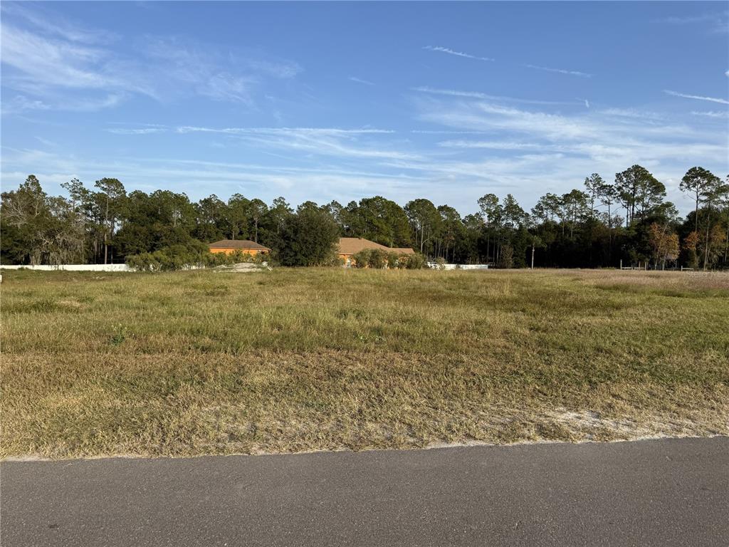 A vacant, grassy lot sits in front of a line of trees and distant houses — 14950 MIM PLACE, DADE CITY, FL