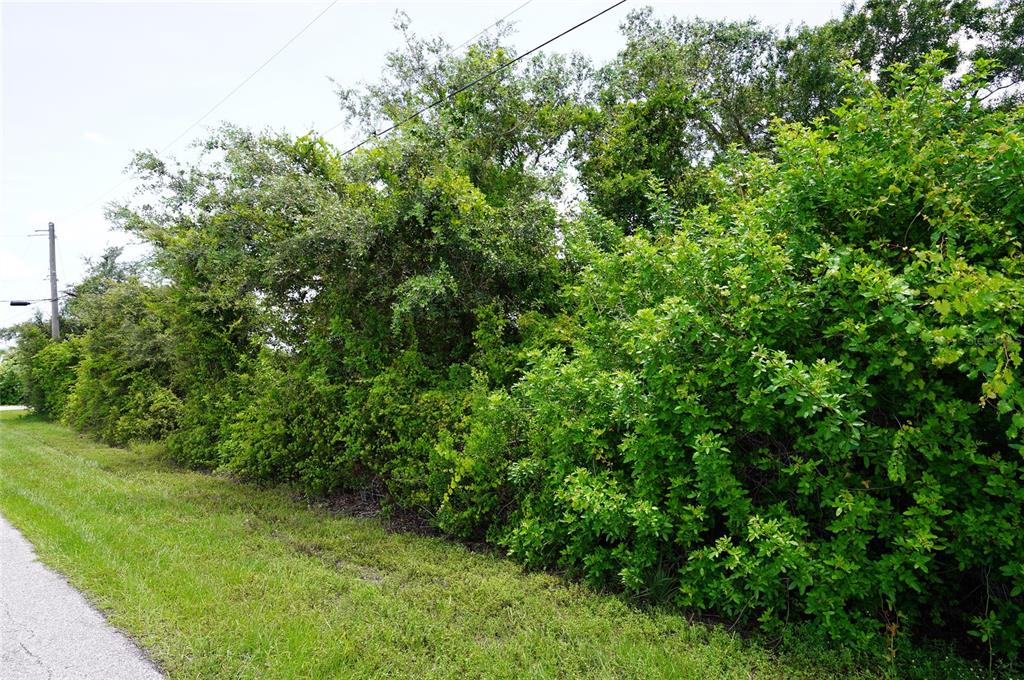 A dense line of green trees and shrubs borders a grassy area next to a road — 12980 RIDGELY CIRCLE UNIT 3, PORT CHARLOTTE, FL
