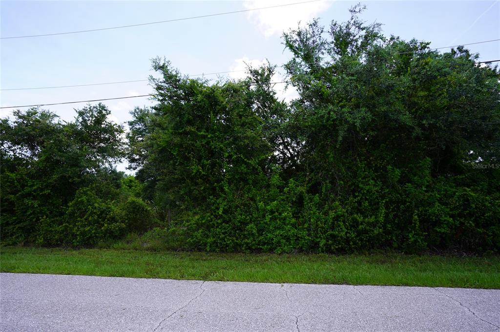 A dense, overgrown wooded lot sits behind a strip of grass and an asphalt road — 12980 RIDGELY CIRCLE UNIT 3, PORT CHARLOTTE, FL