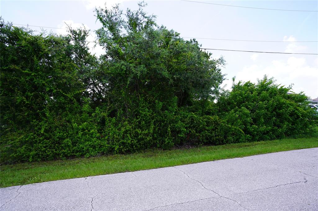 A dense thicket of trees and shrubs borders a paved road under a cloudy sky — 12980 RIDGELY CIRCLE UNIT 3, PORT CHARLOTTE, FL