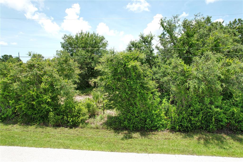 A dense, overgrown vacant lot with trees and shrubs sits behind a grassy roadside verge — 12980 RIDGELY CIRCLE UNIT 3, PORT CHARLOTTE, FL