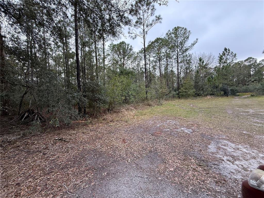 A grassy field borders a dense line of pine trees under a cloudy sky — 1012 INDIAN LAKE DRIVE, INDIAN LAKE ESTATES, FL