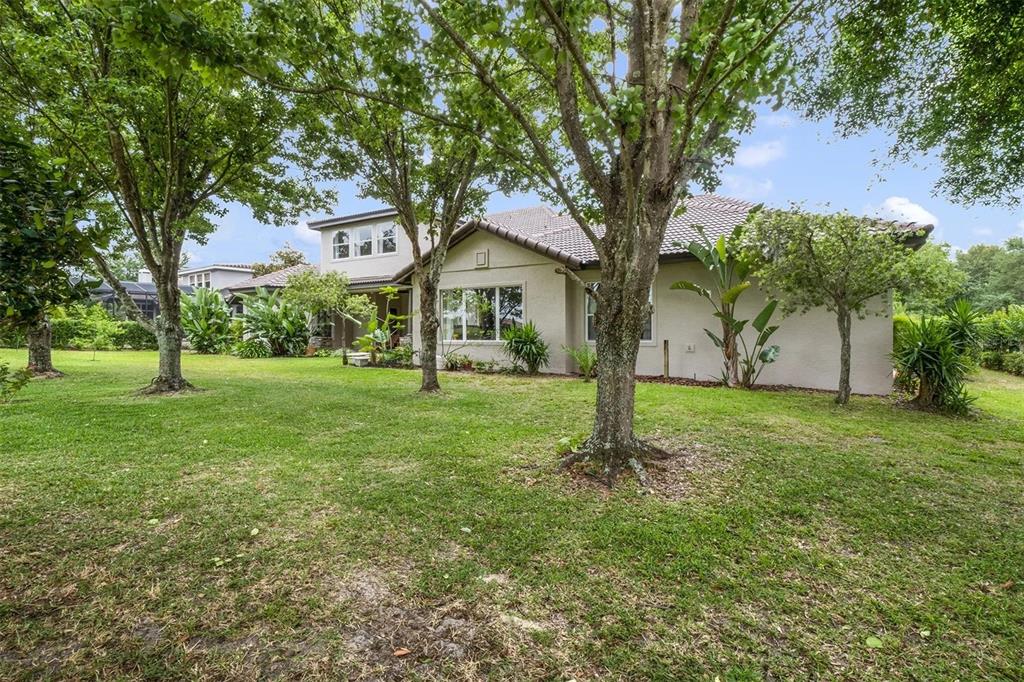 A view of the backyard and exterior of a two-story house with mature trees — 25551 HAWKS RUN LANE, SORRENTO, FL
