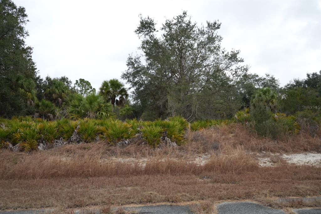 A vacant, overgrown lot features sandy soil, palmetto bushes, and mature trees — DOZIER TERRACE, NORTH PORT, FL