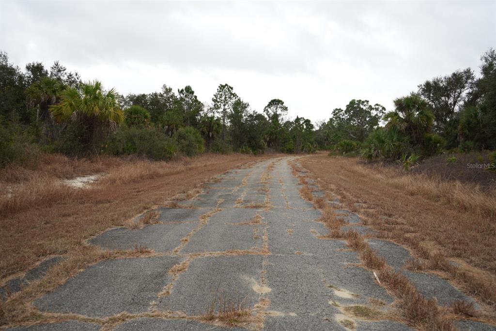An old, cracked asphalt road winds through a wooded area with dry grass and palms — DOZIER TERRACE, NORTH PORT, FL