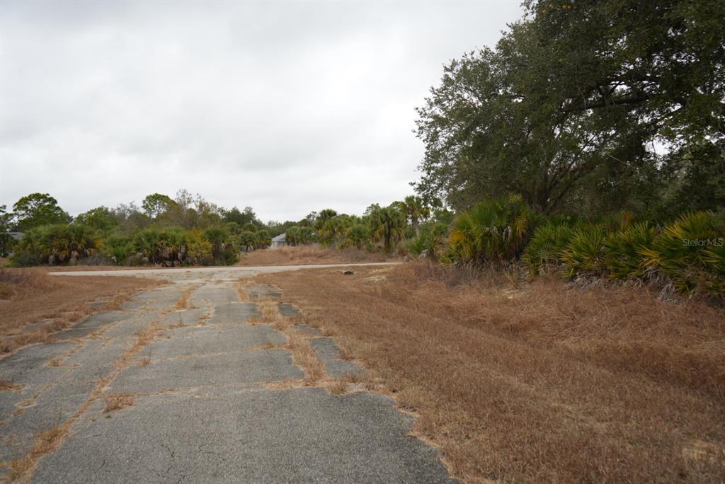 A paved road leads to an intersection surrounded by dry grass and palm trees — DOZIER TERRACE, NORTH PORT, FL