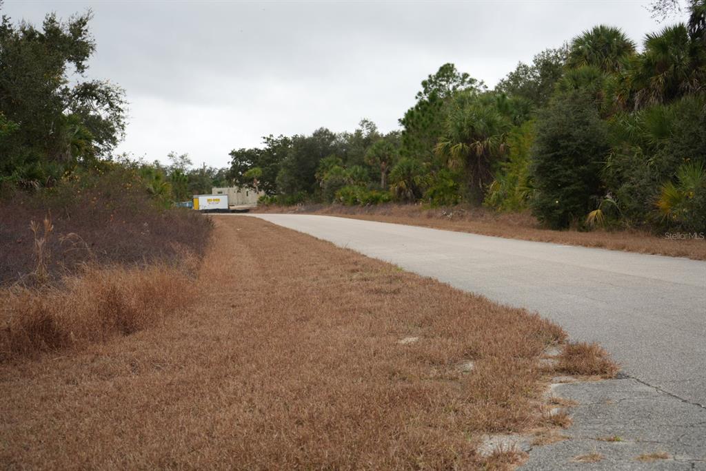 A paved road winds through a rural area with dry grass and dense surrounding vegetation — DOZIER TERRACE, NORTH PORT, FL