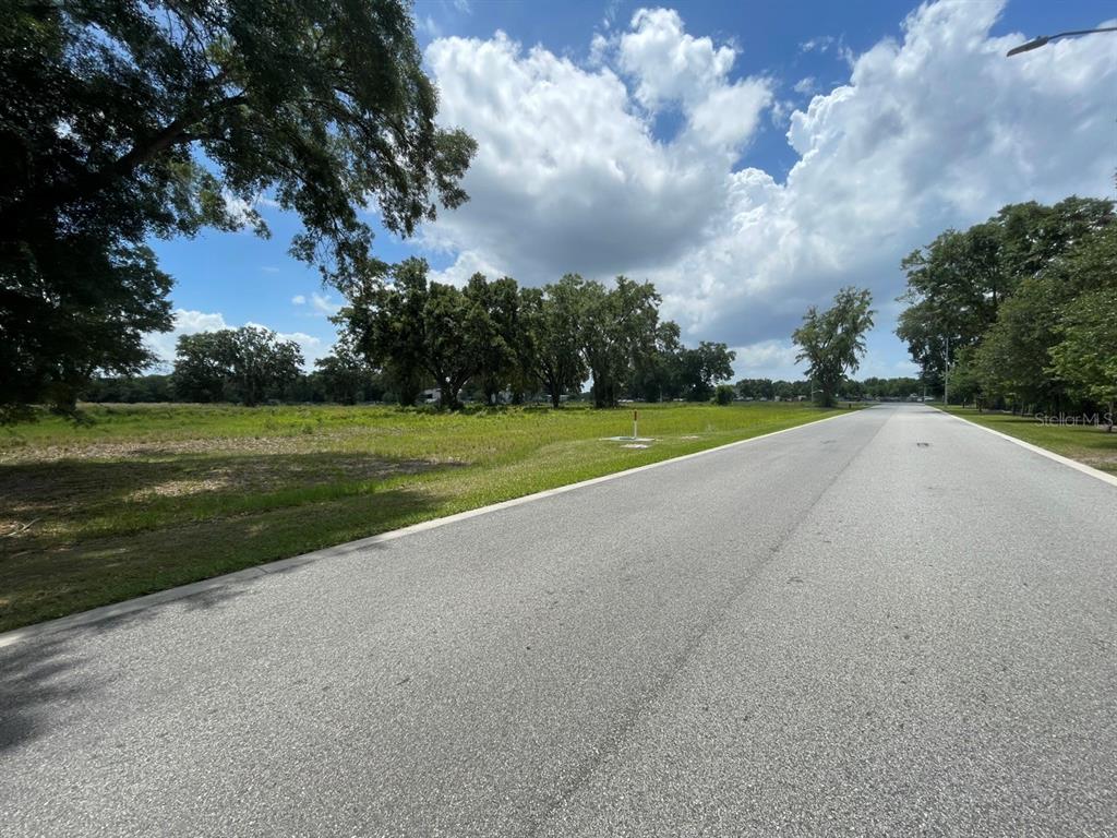 A paved road runs alongside a large, grassy, undeveloped lot with scattered trees — 1080 DUCK BOX ROAD, UMATILLA, FL