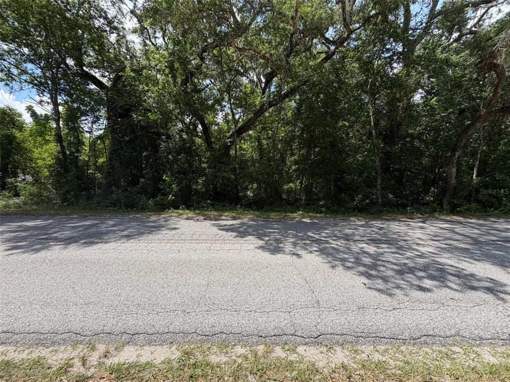 A paved road runs in front of a densely wooded, undeveloped lot — 0 CR 656, WEBSTER, FL