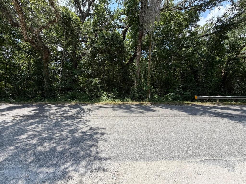A paved road runs in front of a densely wooded lot with mature trees — 0 CR 656, WEBSTER, FL