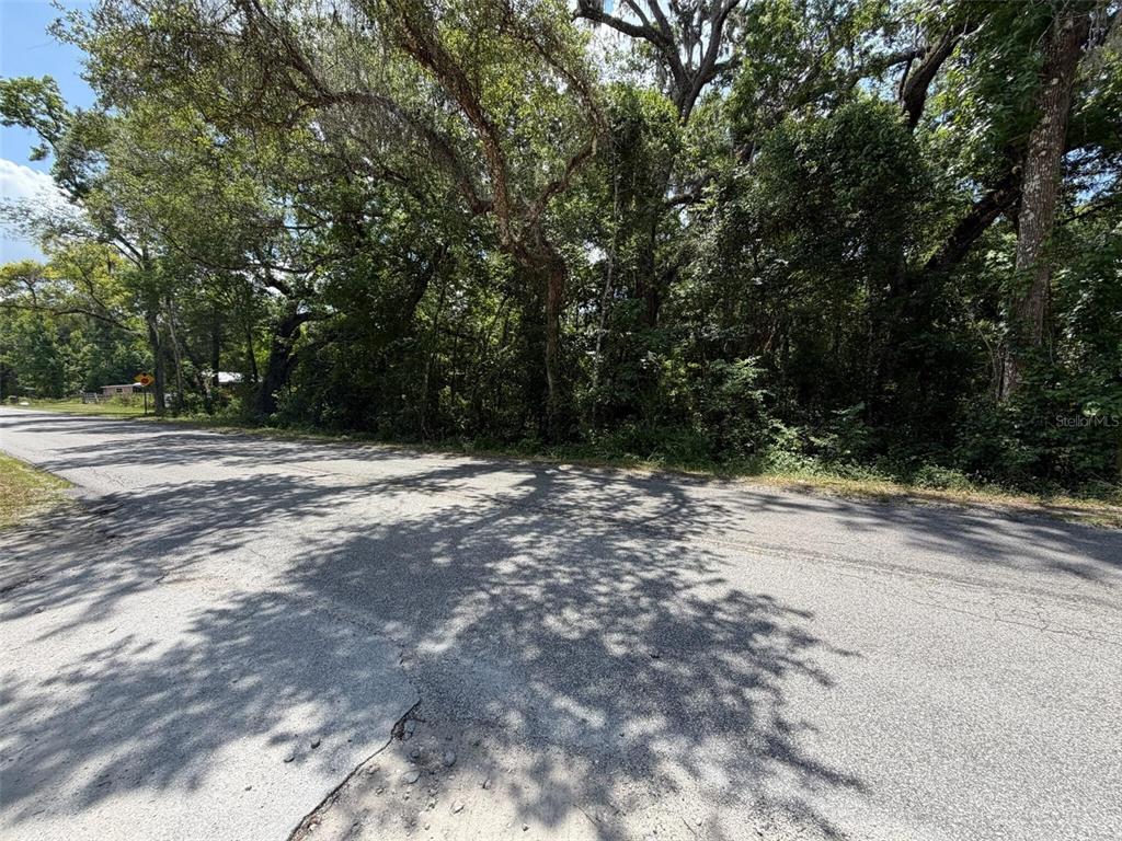 A paved road runs alongside a dense, wooded lot with mature trees — 0 CR 656, WEBSTER, FL