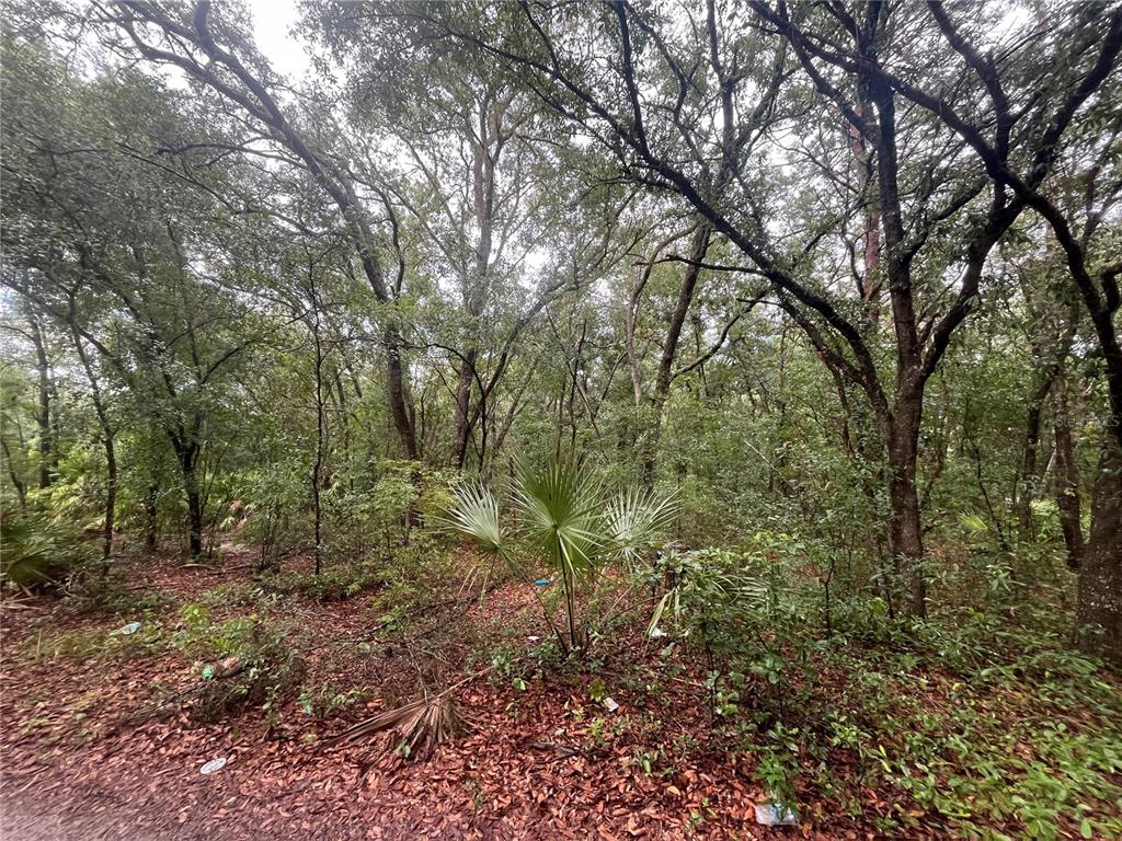 TBD DELAWARE AVENUE, INTERLACHEN, FL — photo 5 of 14