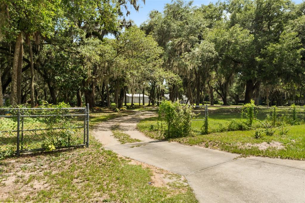 A concrete driveway leads through a gated entrance into a wooded lot with large trees — 7938 JACKSONS RIVER ROAD, LEESBURG, FL