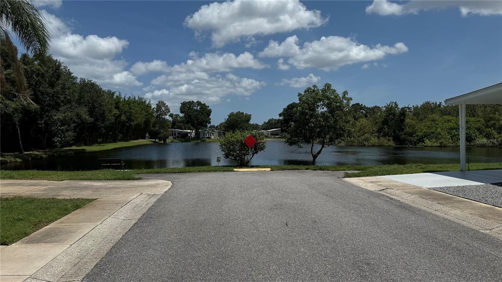 A paved road leads to a small pond surrounded by trees and residential homes — 1001 STARKEY ROAD UNIT 350, LARGO, FL
