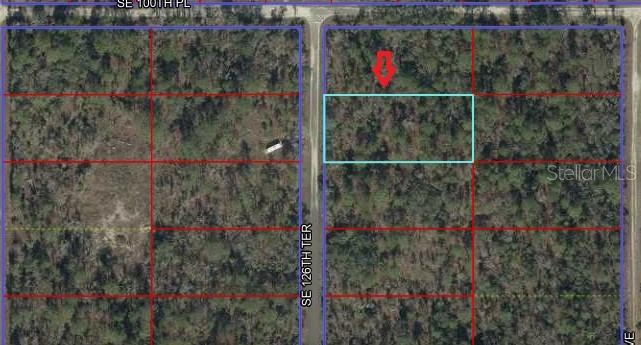 This is an aerial map showing a vacant, wooded rectangular lot outlined in light blue — 00 SE 126TH TERRACE, DUNNELLON, FL
