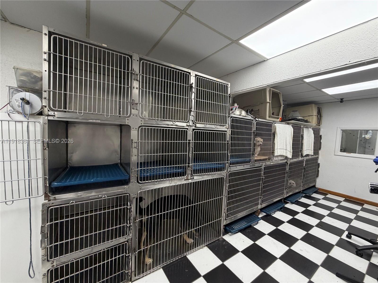 A kennel room features rows of stainless steel animal cages and a black-and-white checkered floor — SW Bird road, Miami FL 33155, MIAMI, FL