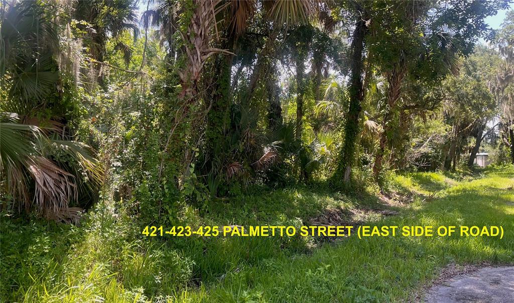 A dense, wooded lot with tall trees and thick vegetation borders a paved road — 420-428 PALMETTO STREET, EDGEWATER, FL