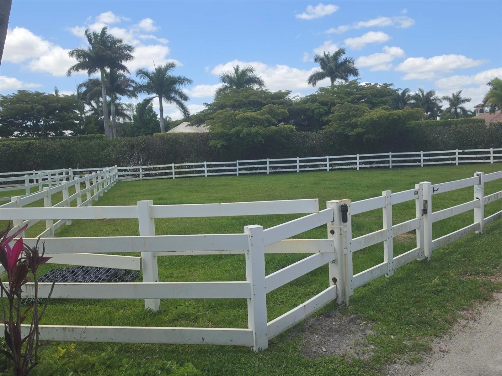 A white wooden fence encloses a grassy field with palm trees under a blue sky — 14127 Equestrian Way, Wellington FL 33414, WELLINGTON, FL